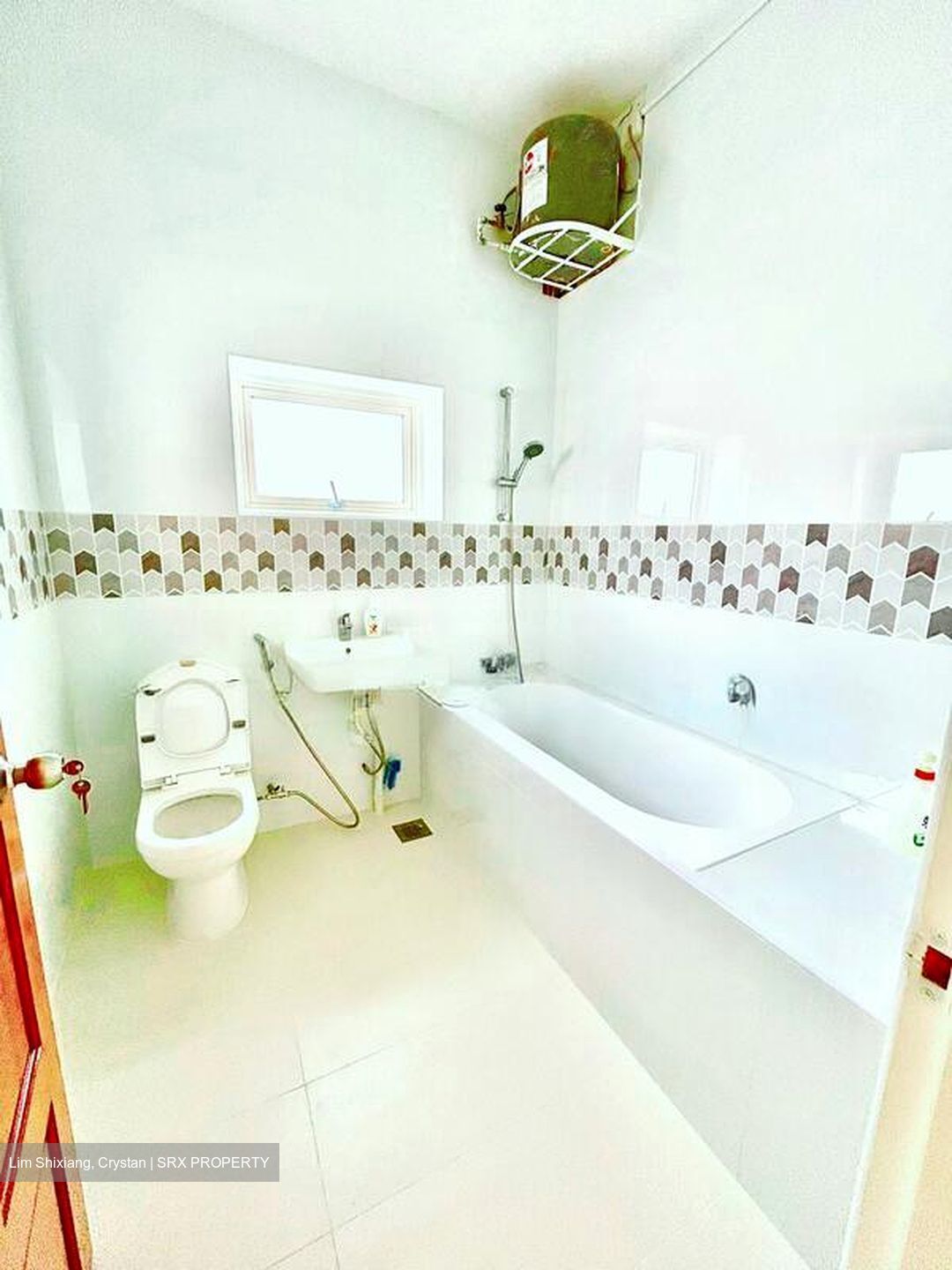 Tanglin Road (D10), Apartment #507917121